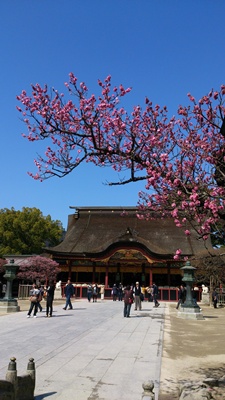 b0176999_11334456.jpg