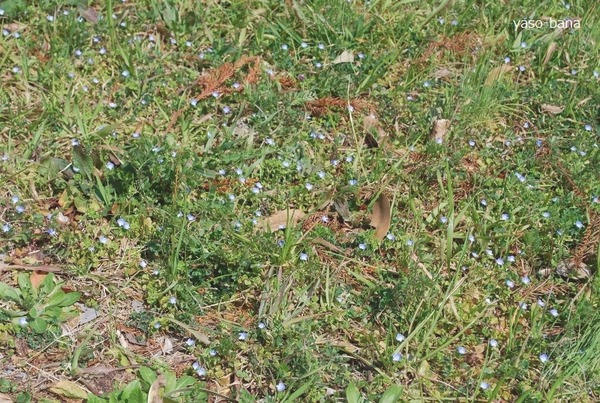 e0025300_22233375.jpg