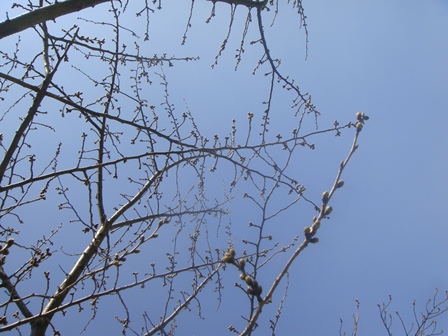 a0167803_17585589.jpg