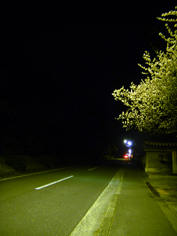 c0069903_10305486.jpg