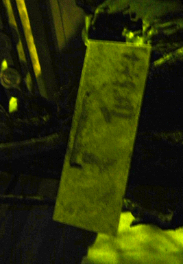 c0069903_10305837.jpg