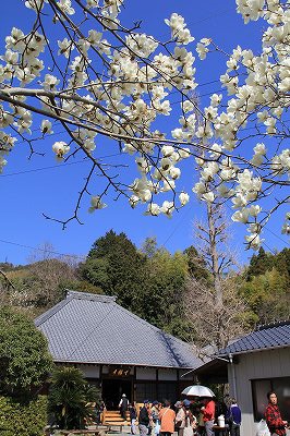 a0188405_1733990.jpg