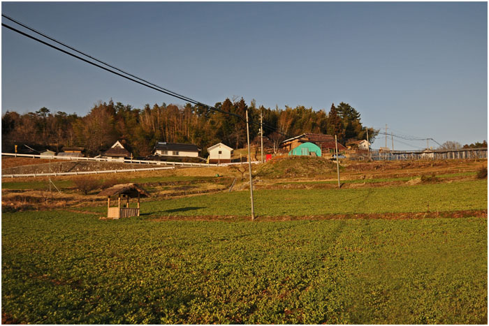 d0029829_10113626.jpg