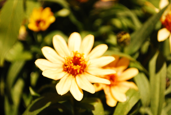 f0238332_1654658.jpg