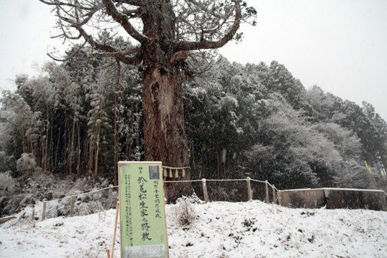 f0147037_13504081.jpg