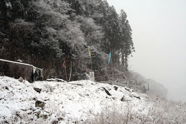f0147037_13505476.jpg