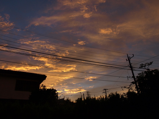 c0281841_12462121.jpg