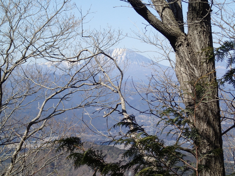 b0190242_21234744.jpg