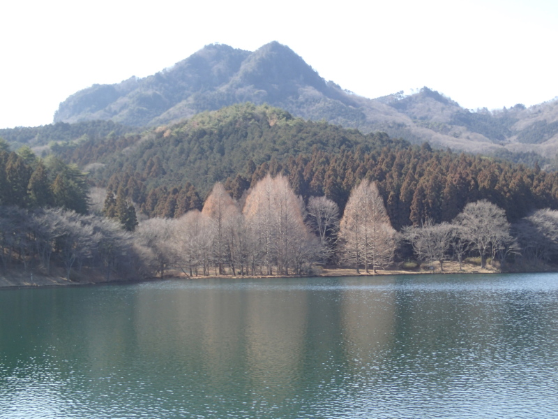 b0190242_21362113.jpg