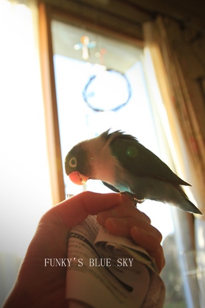 c0145250_1713374.jpg