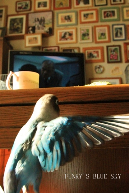 c0145250_173177.jpg
