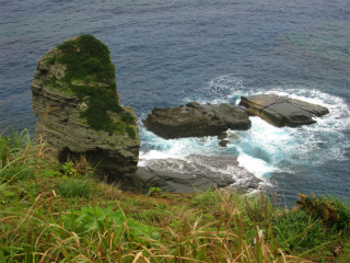 d0031853_652971.jpg