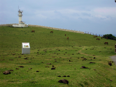d0031853_665498.jpg