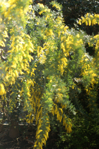 a0150860_15575524.jpg