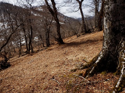 f0057070_1748105.jpg