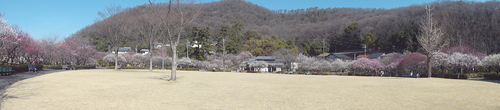 a0209173_195715.jpg