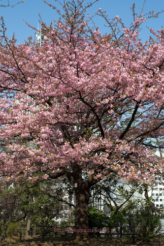 c0210275_223413.jpg