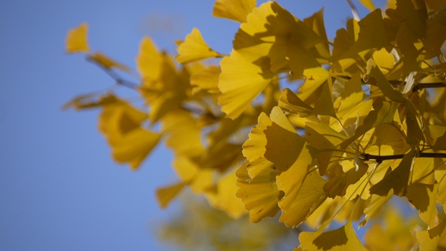 c0283778_16101360.jpg