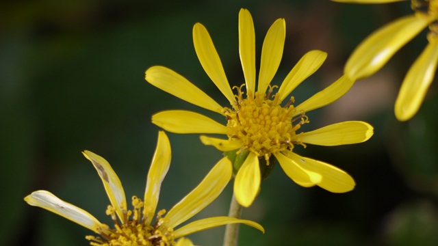 c0283778_16101758.jpg