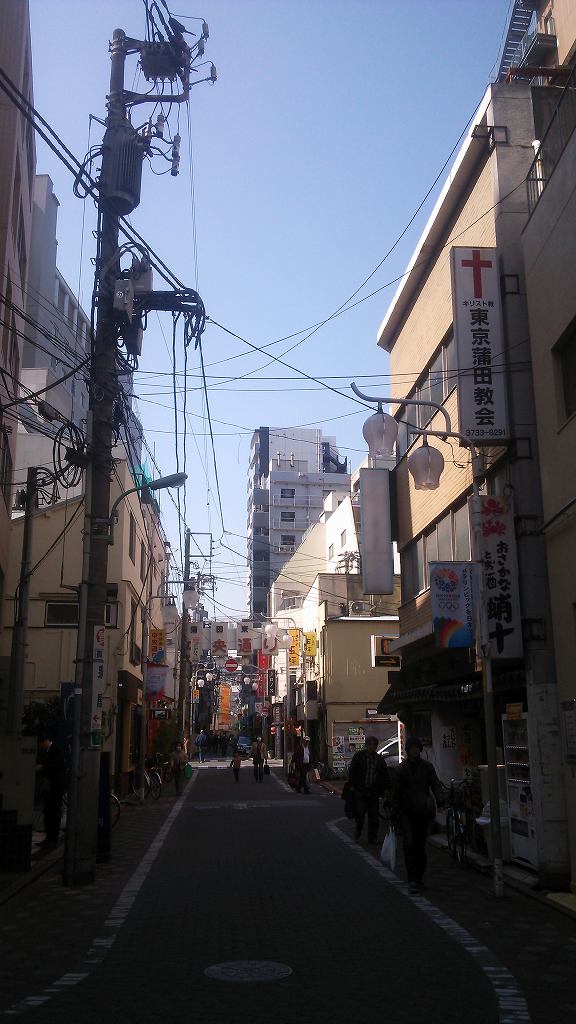 b0100489_11463855.jpg