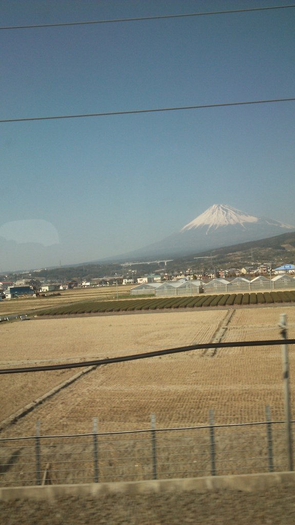 b0100489_11464232.jpg