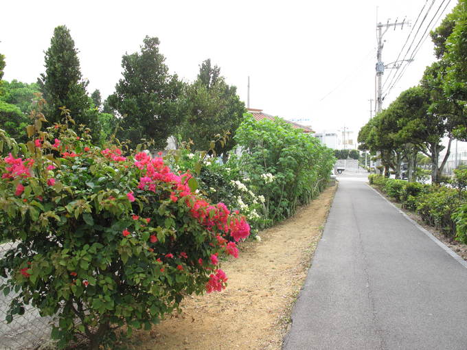 c0064389_18143284.jpg
