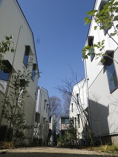 d0256297_1874216.jpg