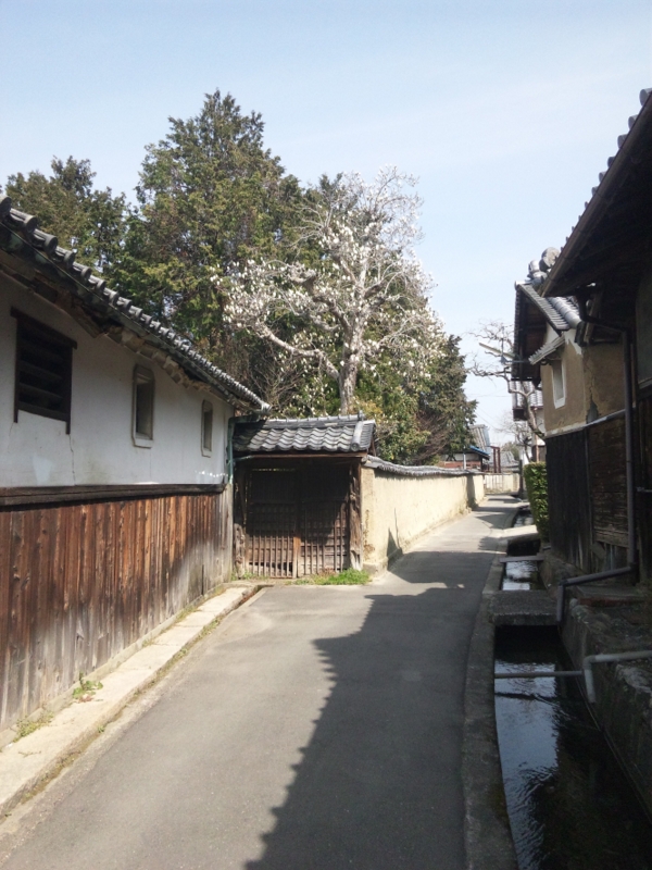 b0138101_12493380.jpg