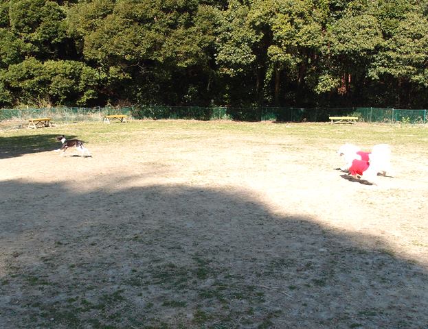 e0018604_1563085.jpg