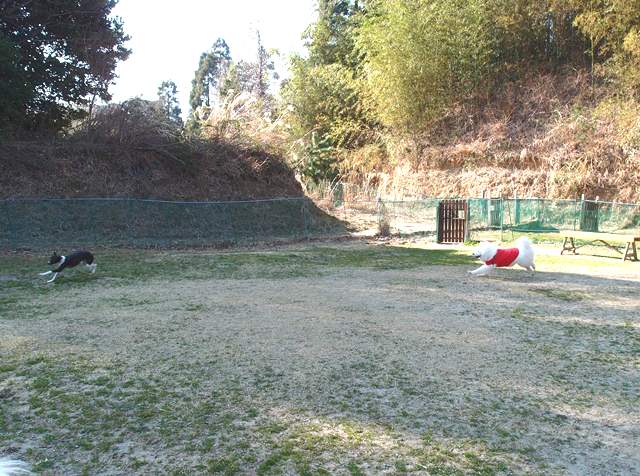 e0018604_1564380.jpg