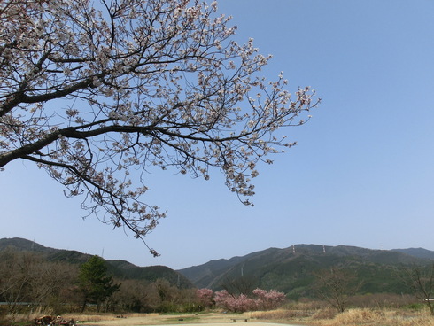 b0239909_22165549.jpg