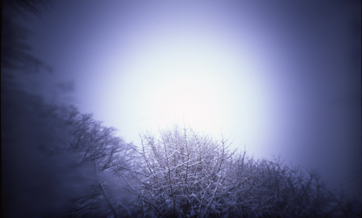 c0016712_16534243.jpg