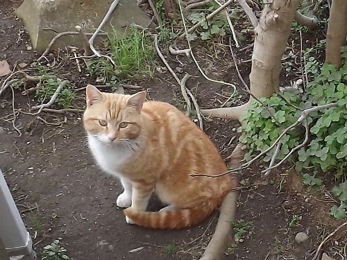c0158916_201270.jpg
