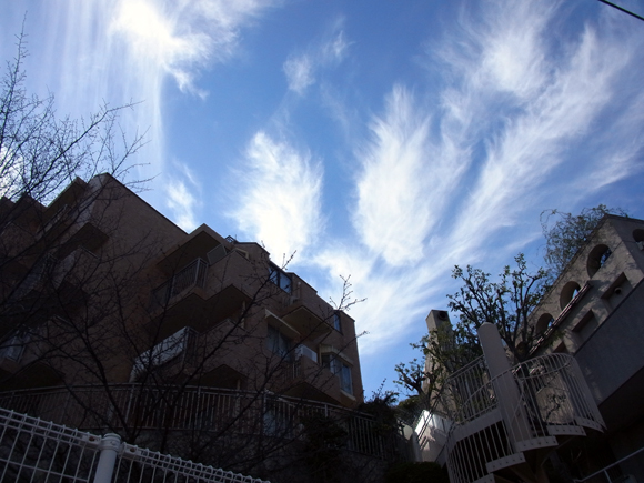 e0083517_1363380.jpg
