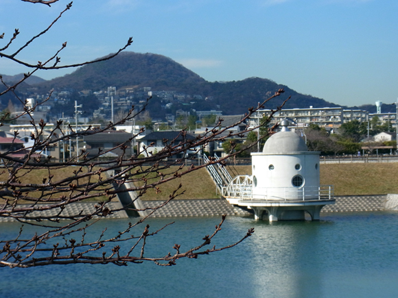 e0083517_1383635.jpg