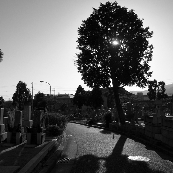 e0083517_1404618.jpg