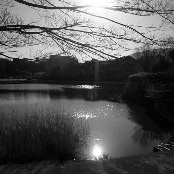 e0083517_14083.jpg