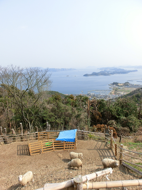 f0248120_028338.jpg