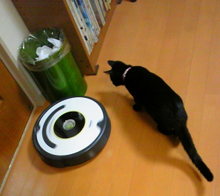 c0280322_23285838.jpg
