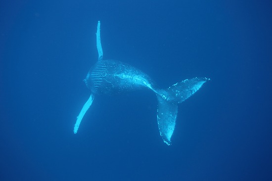 f0206424_9352289.jpg