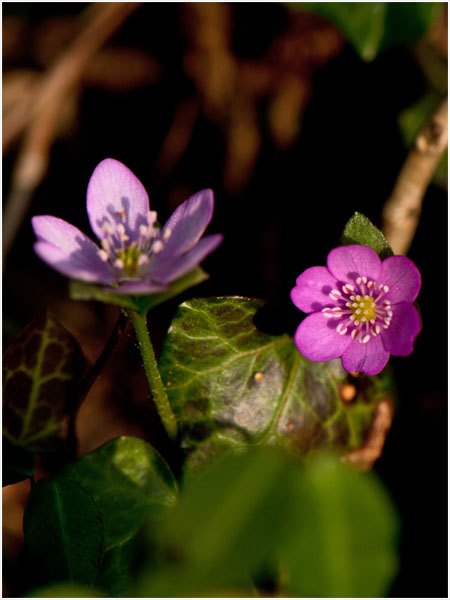 d0029829_12403666.jpg