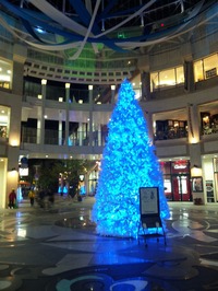 f0254429_1035146.jpg