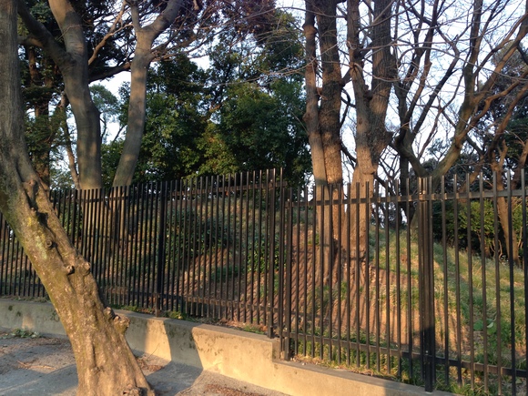 e0081334_114531.jpg