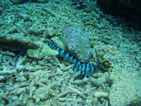 f0014842_21142053.jpg