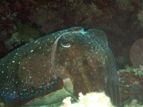 f0014842_21142766.jpg