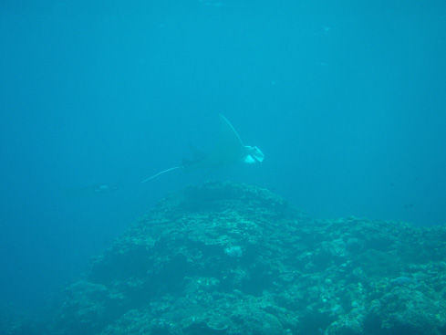 f0014842_21143368.jpg