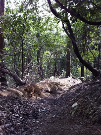 c0059543_2211117.jpg