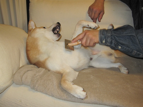 f0245650_1535672.jpg
