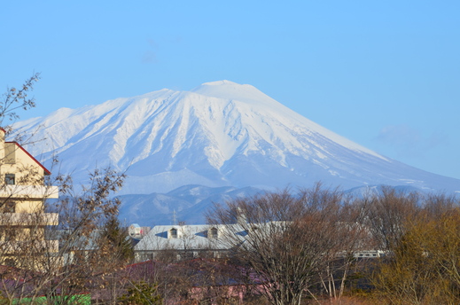 d0283357_853120.jpg