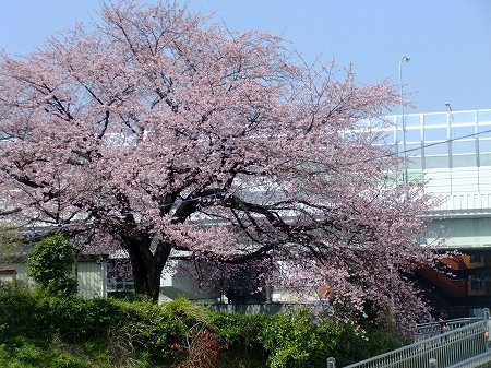 c0097558_16305735.jpg